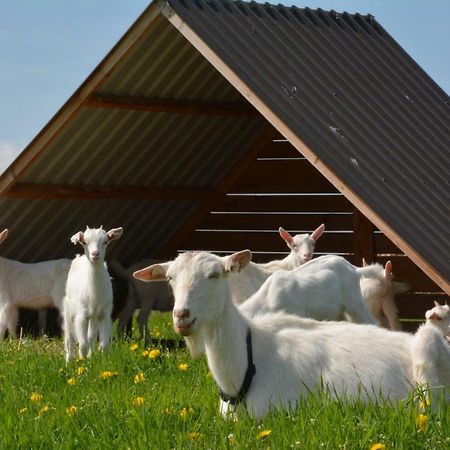 فيلا Farma Klinec المظهر الخارجي الصورة